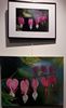 Peinture et Photo exposées