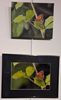 Peinture et Photo exposées